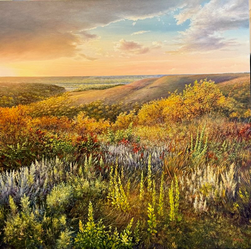 "Konza Prairie Overlook" (Prints Available)