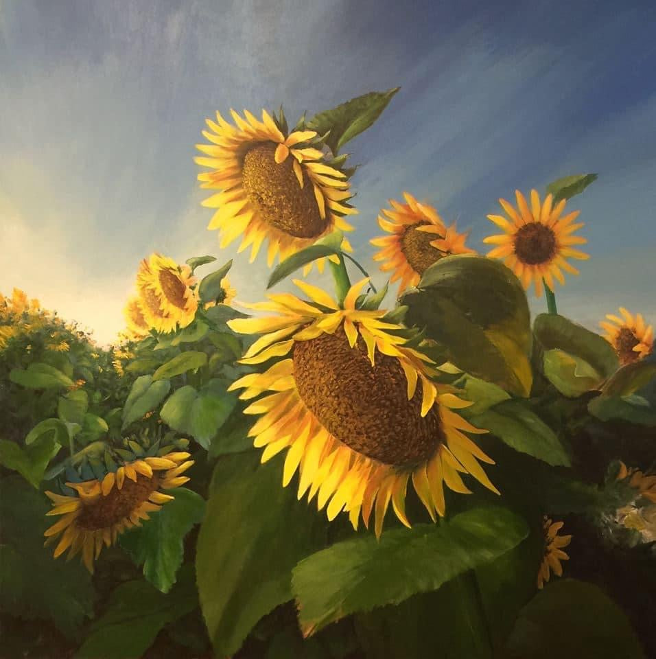 "Ron's Sunflower Field" (Prints Available)