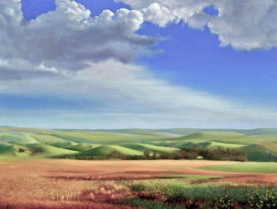 "Sun Drenched Hills - Kansas Flint Hills" (Print)