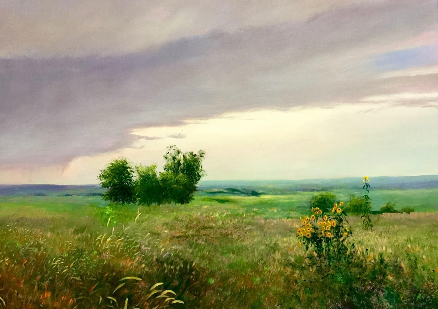 "Kansas Prairies" (Original)