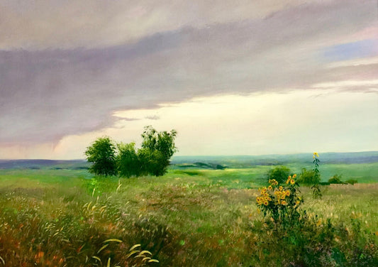 "Kansas Prairies" (Original)