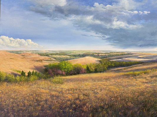 SOLD- Kansas Flint Hills - East of Alma (Prints Available)
