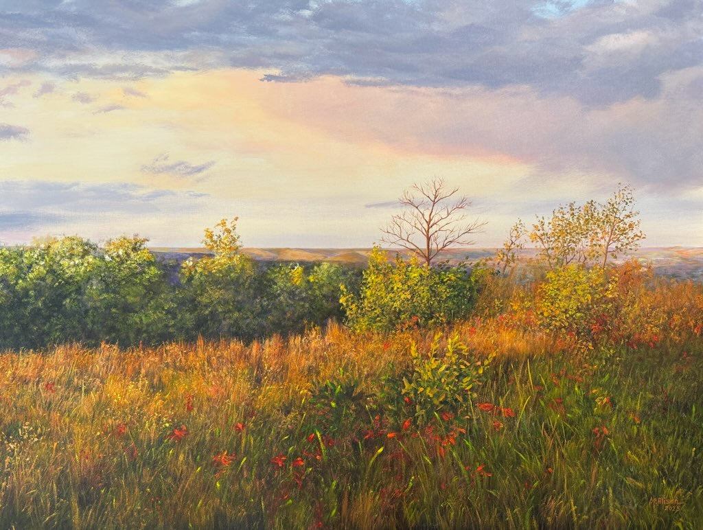 "Morning Light, Konza Overlook" - Flint Hills  (Prints Available)